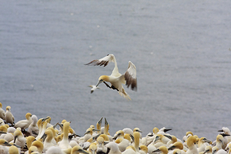 Retour de la pèche